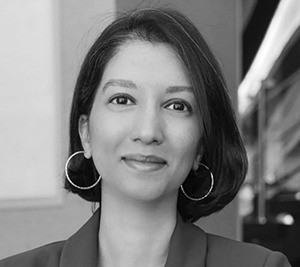 Carbon Removal Standards Initiative